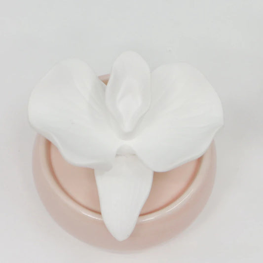 Porcelain Flower Ceramic Vase Home Diffuser Set Home Decor