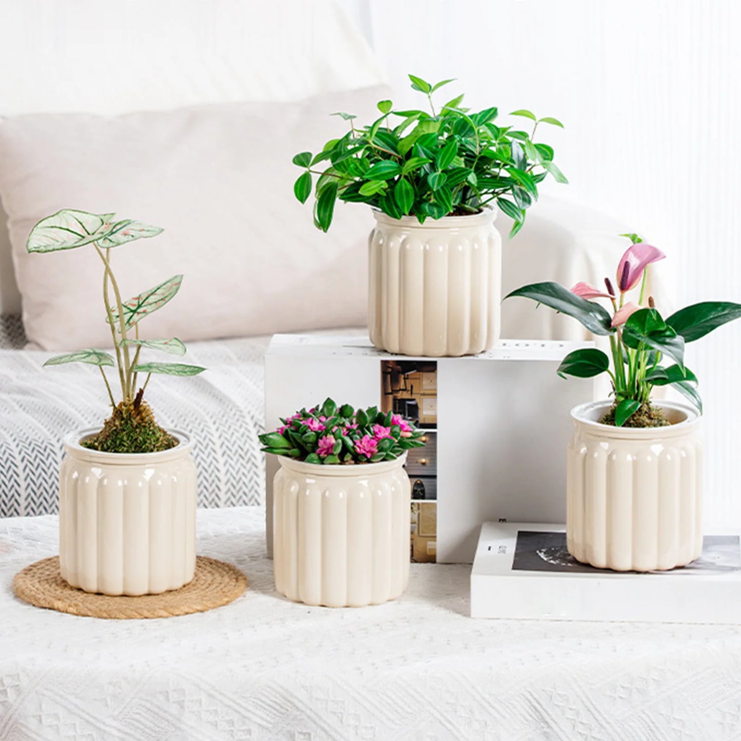 Plantas hidropônicas suculentas maconha com rega de flor autopot mini plantador de banheiro de mesa de floresta de flores para casa de bonsai decoração