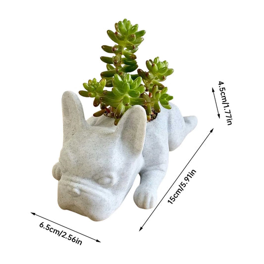 Fioriere in resina per piante da interno pianta succulente pianta di pianta decorazione desktop pentole succulente pentola di figura di bulldog