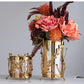 Vaso de vidro de vidro de metal Golden Hollow Metal Metal Flor Hydroponic Flower Decoration Home Decoration Multifuncional Velas