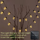 5/7/12M Led Globe Solar Fairy String Lights Christmas Garland Street Wedding Bulb Lamps Outdoor for Party Holiday Garden Patio