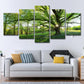 5 panel por la mañana sol por el bosque HD Fotografías Pintura de lienzo Póster de paisaje natural Soleado para la decoración de la sala de estar