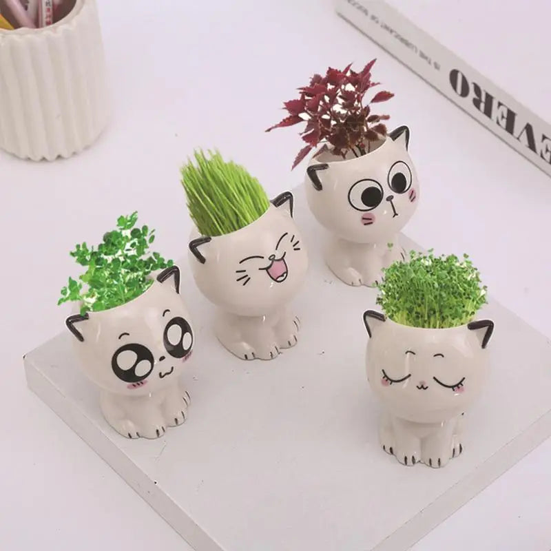 1 pcs ceramica pentola di fiori carino gatto succulento pianta piantatrici di vasi per piante da interno pentole da cartone animato