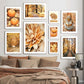 Autumn Deciduous Maple Leaf Pumpkin books Wall Art Canvas Painting Nordic Posters And Prints Wall Pictures For Living Room Decor