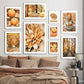 Autumn Digituous Maple Leaf Pumpkin Books Wall Art Canvas schilderen Noordse posters en afdrukken Wandfoto's voor woonkamer Decor