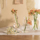 Transparent Glass Vase Home Plants Hydroponic Vase Nordic Ins Style Decor Vases Modern Table Ornaments Vase Hydroponique