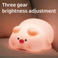 Pink Piggy Night Light Light LED LED LED LAMPAGGIO Atmosfera interno Atmosfera Pat Room Room Decoration USB per bambini Light Gift