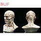 4 "Modello umano Anatomia Skull Head Muscle Bone Artist Draw