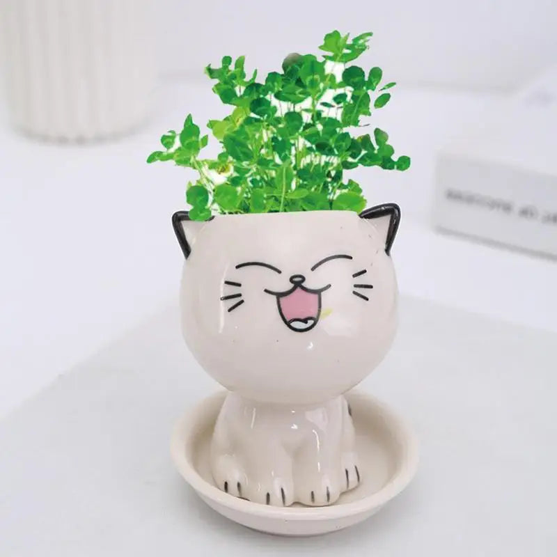 1 pcs ceramica pentola di fiori carino gatto succulento pianta piantatrici di vasi per piante da interno pentole da cartone animato