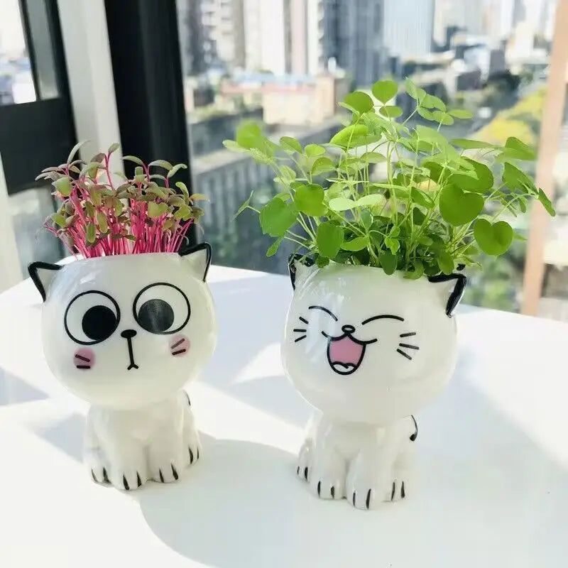 1PC Céramique Flowerpot Mini Caton Cartoon Mignon Plante en pot Bureau de bureau Cat Pot Pot Diy Bure