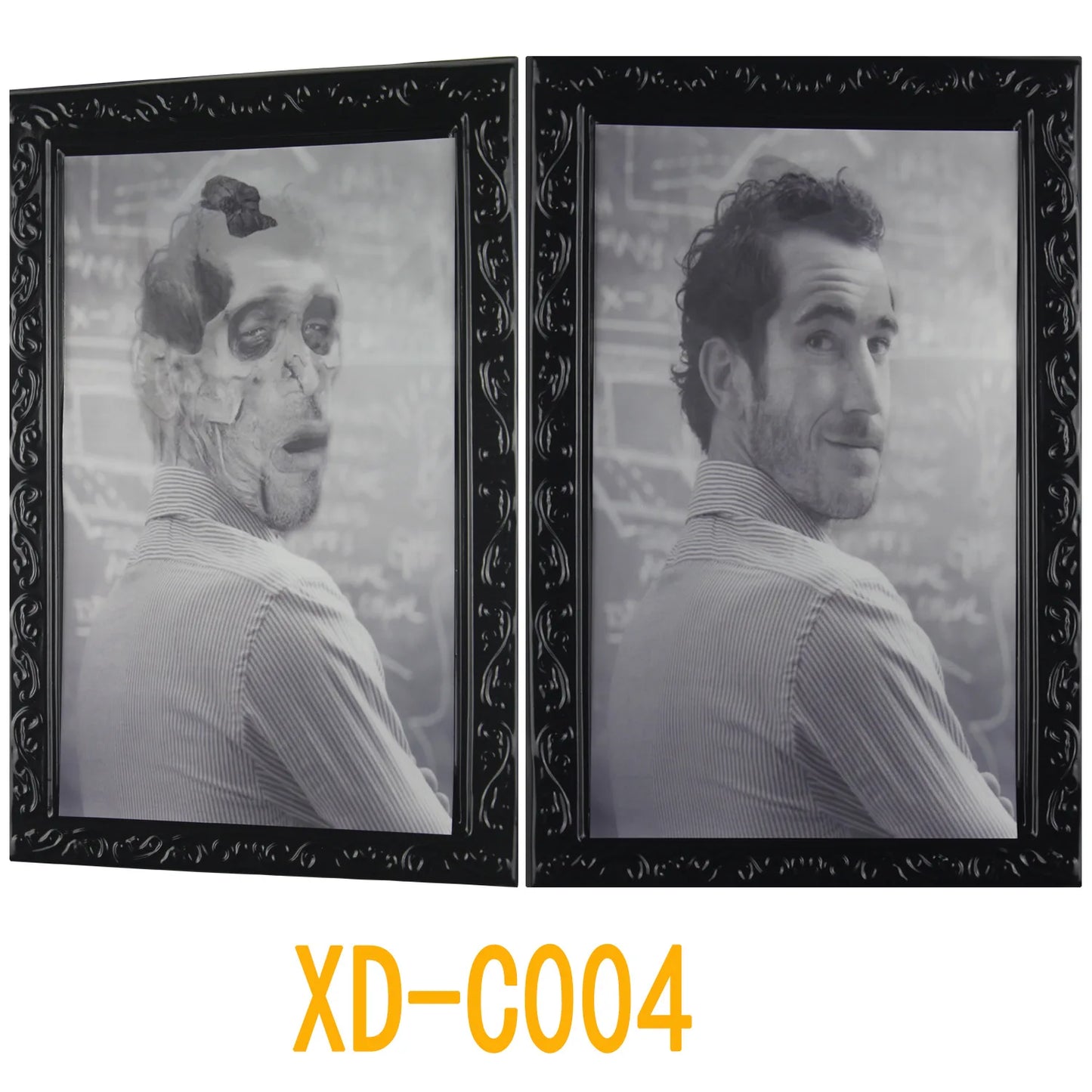 Halloween Decoration 3D Change Face Expression Moving Ghost Portrait Photo Frame Horror Party Castle Haunted House Props Decor