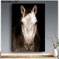 Modern Animal Horse Portrait Canvas Pinting Poster y estampados Imágenes de arte de pared para sala de estar Decoración del hogar sin marco