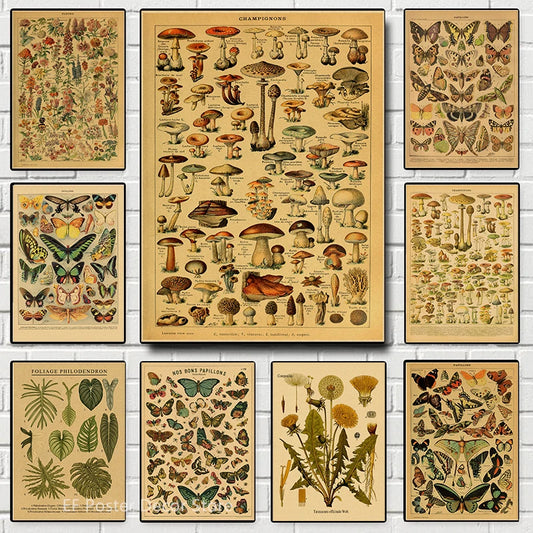 Estampados de arte botánico Impresiones de hongos Retro Retro Animal/Flower/Planta/Hoja/Mariposa Pintura de la sala de estudio Vintage Decoración de la pared del hogar