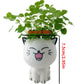 1PC Céramique Flowerpot Mini Caton Cartoon Mignon Plante en pot Bureau de bureau Cat Pot Pot Diy Bure