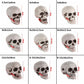 1Pcs High Quality Skull Head All Size Human Skeleton Halloween Style Photo Props Hanging Terrible Home Party Decor Game Supplies