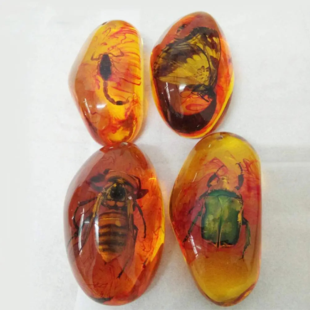 5pcs Amber Fossil with Insects Samples Stones Crystal Specimens Home Decorations Collection Oval Pendant (Random Pattern)