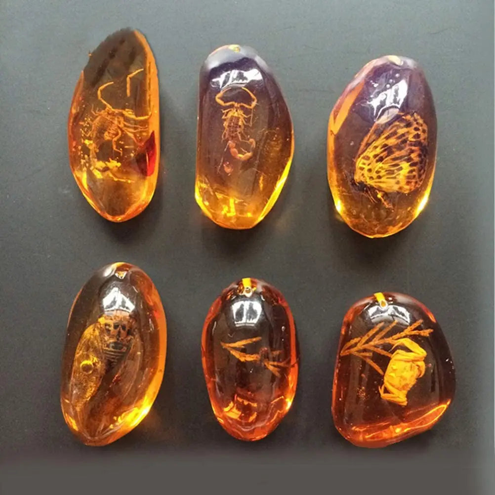 5pcs âmbar fóssil com insetos amostras pedras de cristal amostras decoração de casa coleção de pingente oval (padrão aleatório)