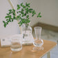 Transparent Glass Vase Home Plants Hydroponic Vase Nordic Ins Style Decor Vases Modern Table Ornaments Vase Hydroponique