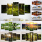 5 panel por la mañana sol por el bosque HD Fotografías Pintura de lienzo Póster de paisaje natural Soleado para la decoración de la sala de estar