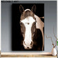 Modern Animal Horse Portrait Canvas Pinting Poster y estampados Imágenes de arte de pared para sala de estar Decoración del hogar sin marco