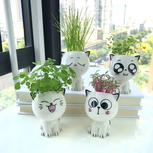 1PC Céramique Flowerpot Mini Caton Cartoon Mignon Plante en pot Bureau de bureau Cat Pot Pot Diy Bure