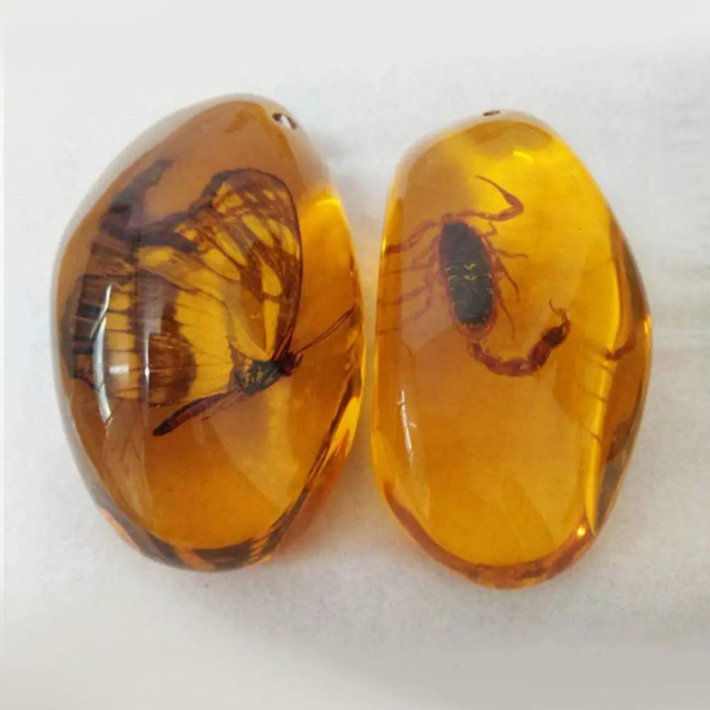 5pcs Amber Fossil with Insects Samples Stones Crystal Specimens Home Decorations Collection Oval Pendant (Random Pattern)