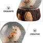 Owl Snow Globe 3D Owl Crystal Ball Owl Water Globe Wild Animal Figurine Glass Sphere Desktop Ornament