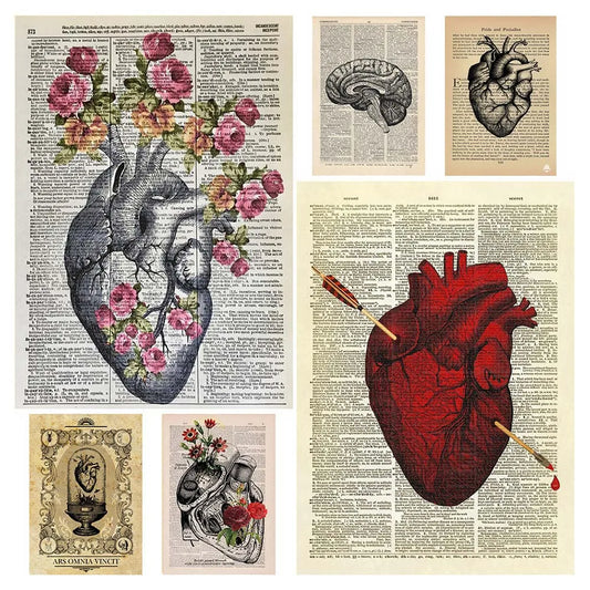 Anatomía cardíaca de arte de arte de arte médico