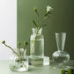 Transparent Glass Vase Home Plants Hydroponic Vase Nordic Ins Style Decor Vases Modern Table Ornaments Vase Hydroponique