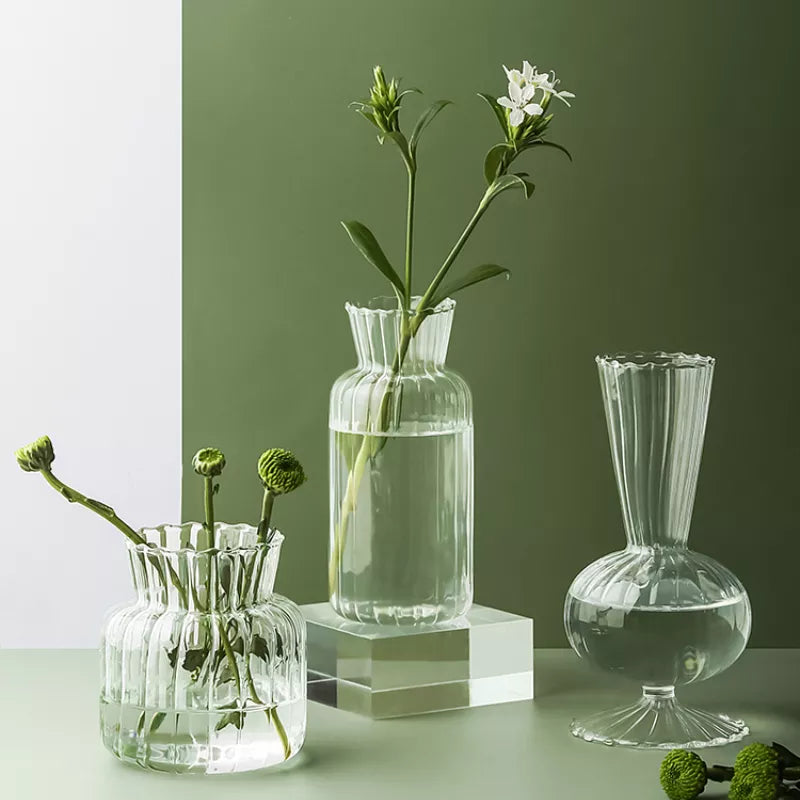 Transparent Glass Vase Home Plants Hydroponic Vase Nordic Ins Style Decor Vases Modern Table Ornaments Vase Hydroponique